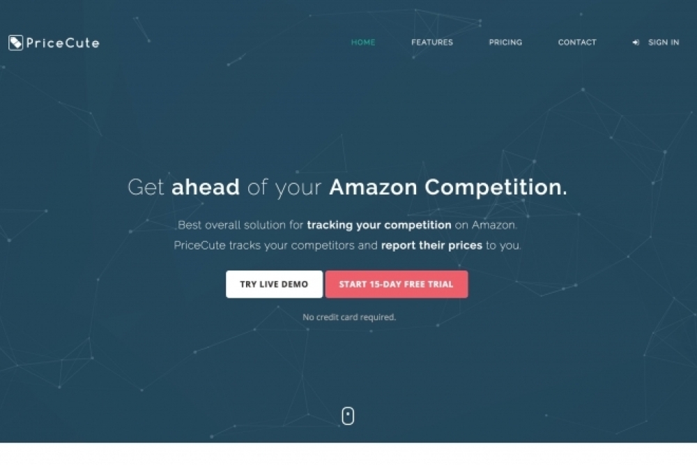 Sanatsal Multimedya'dan Başarı Hikayeleri 