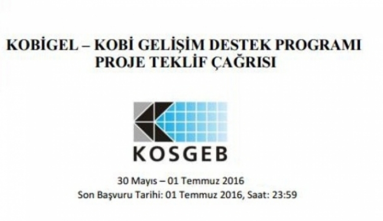 Bilişim Teknolojileri KOBİ’lerine KOSGEB Desteği